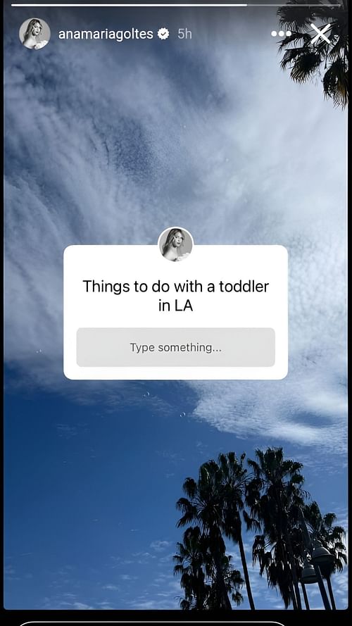 Anamaria Goltes' IG story [Credit: IG/@anamariagoltes]