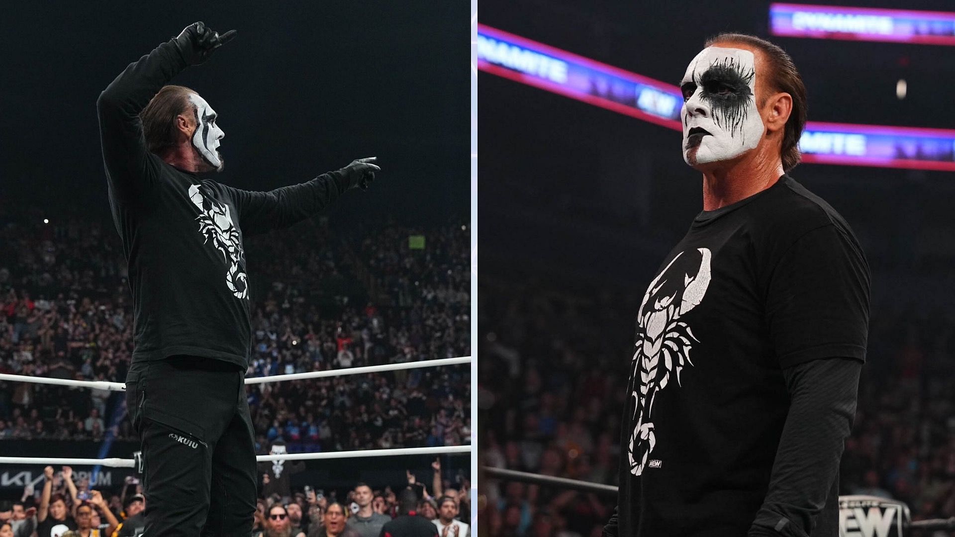 Will Sting wrestle again someday? (via Sting