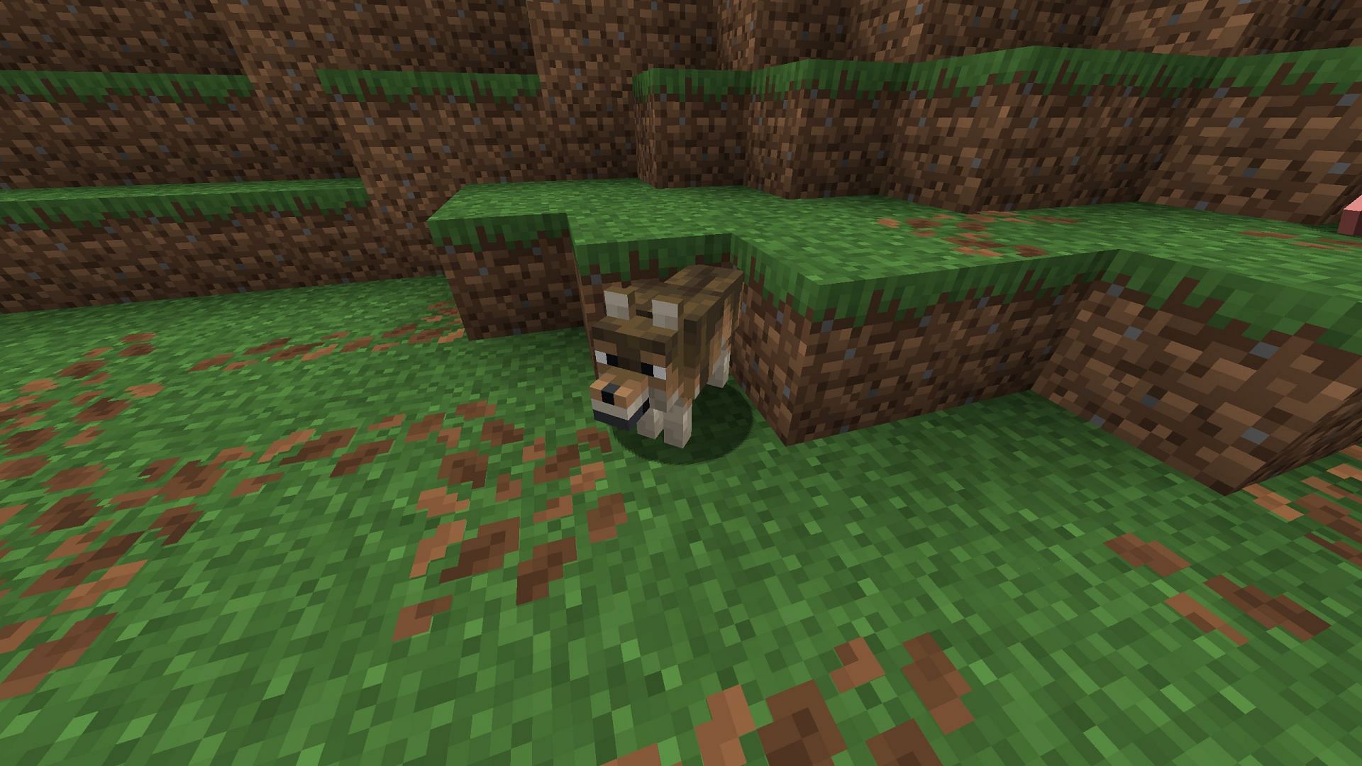 Leaf litter can still be visually unpleasant and clutters the forests (Image via Sportskeeda Gaming || Mojang Studios)