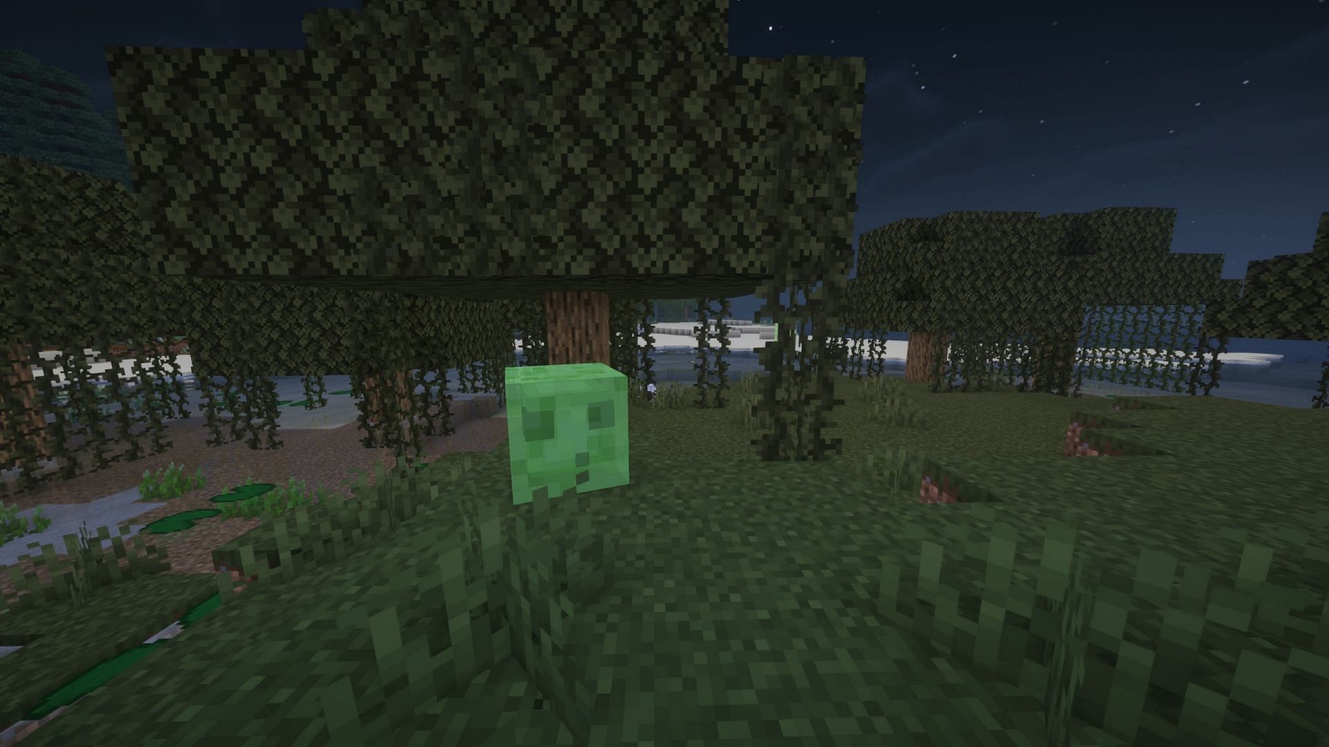 The swamp is the only biome in which slimes spawn during the night (Image via Mojang Studios)