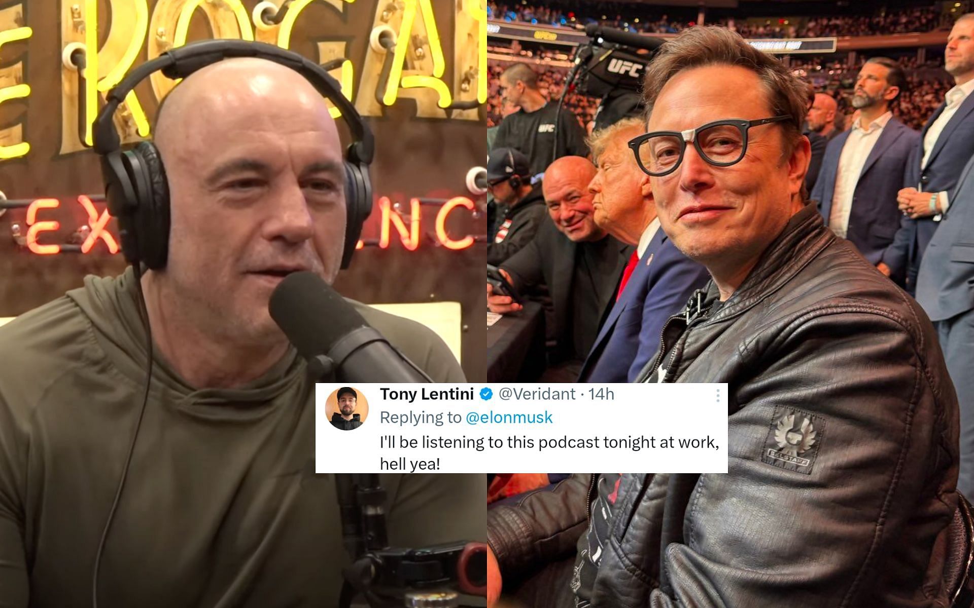 Fan react as Elon Musk shares eye-opening Joe Rogan podcast segment on USAID[Images courtesy: @joerogan on Youtube and @elonmusk on X]