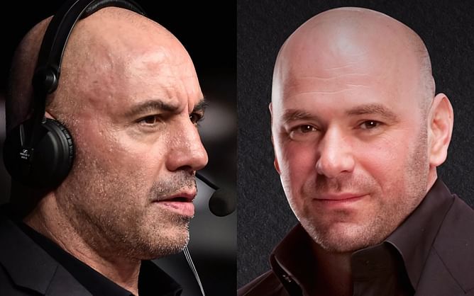 "Dana White keeps trying to get me to come see it" - Joe Rogan shares unfiltered opinion on Power Slap, calls out "huge" flaw