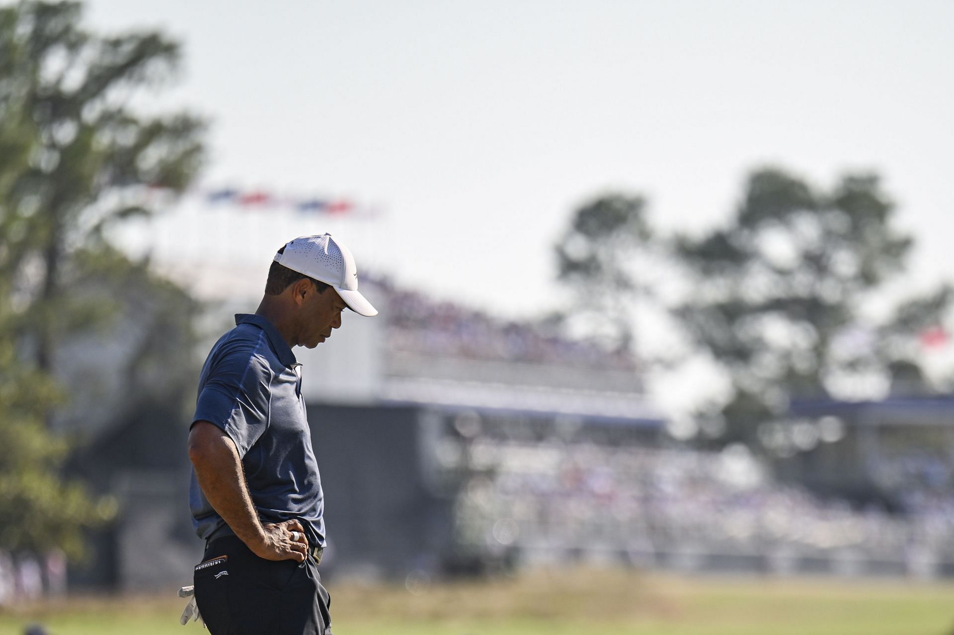 Tiger Woods at the 2024 U.S. Open (via Getty)