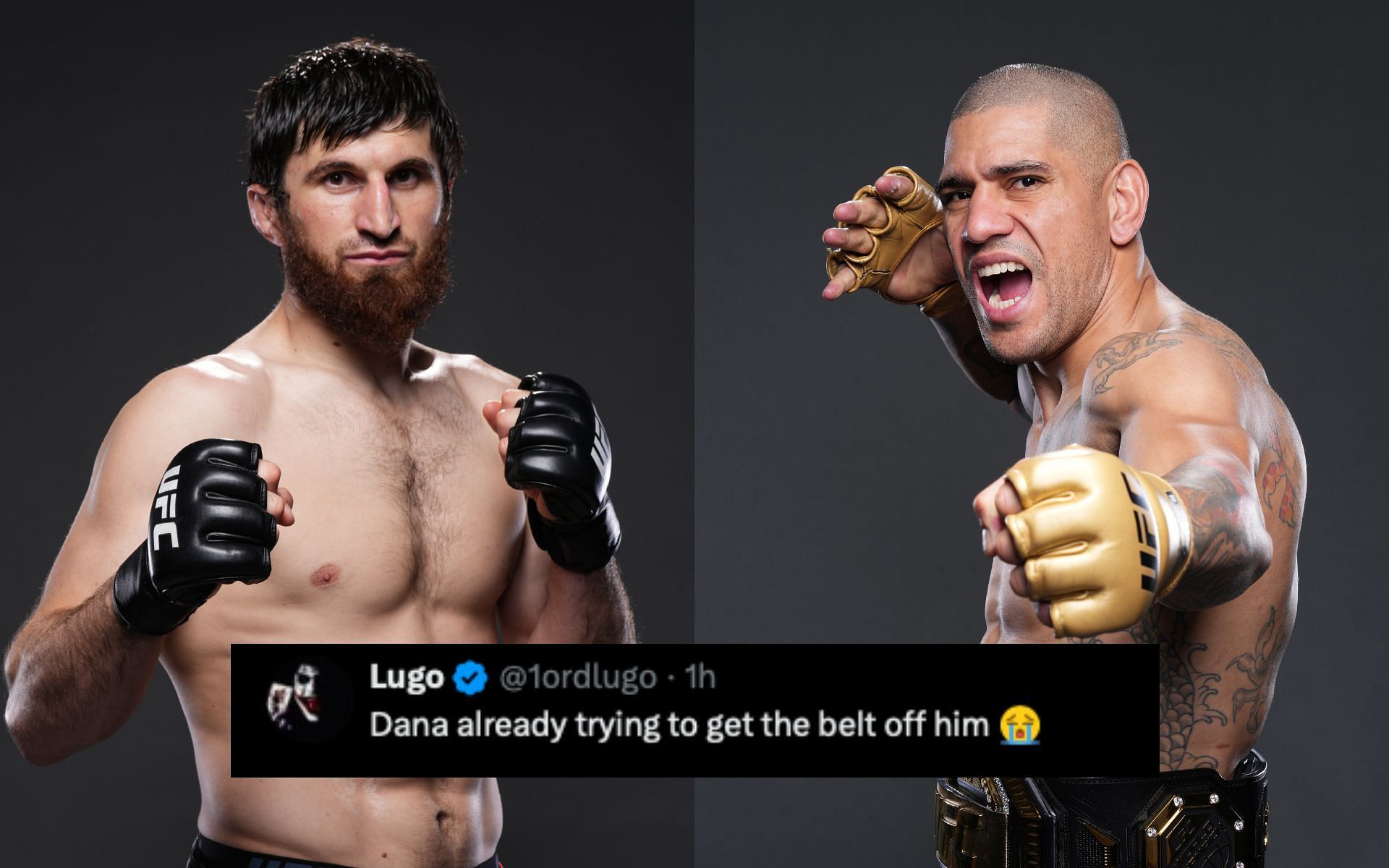 Fans on Magomed Ankalaev (left) teasing new fight update after Alex Pereira (right) win. [Image courtesy: Getty Images]