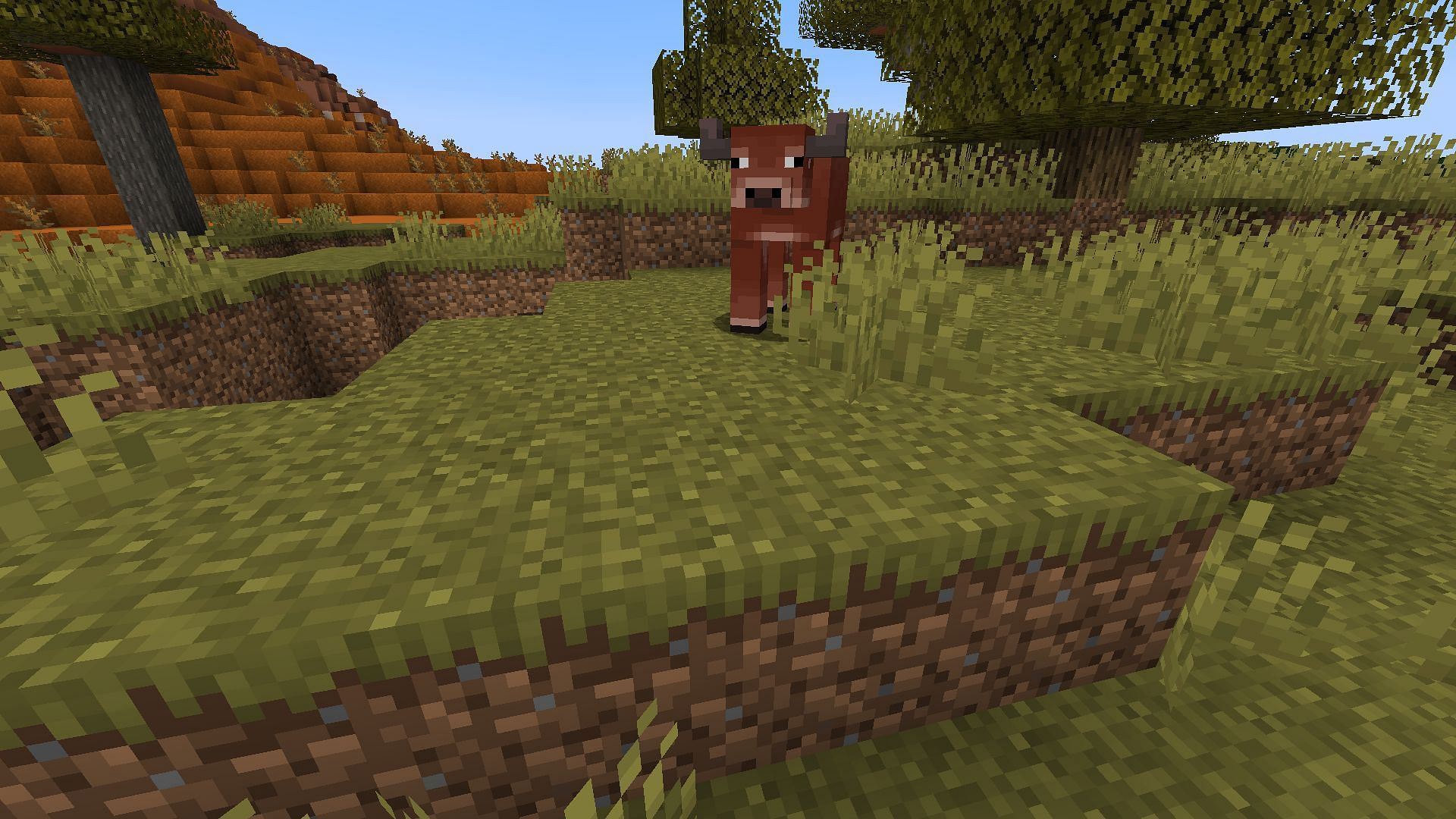 The update is set to bring so many cool things to the game (Image via Mojang Studios)