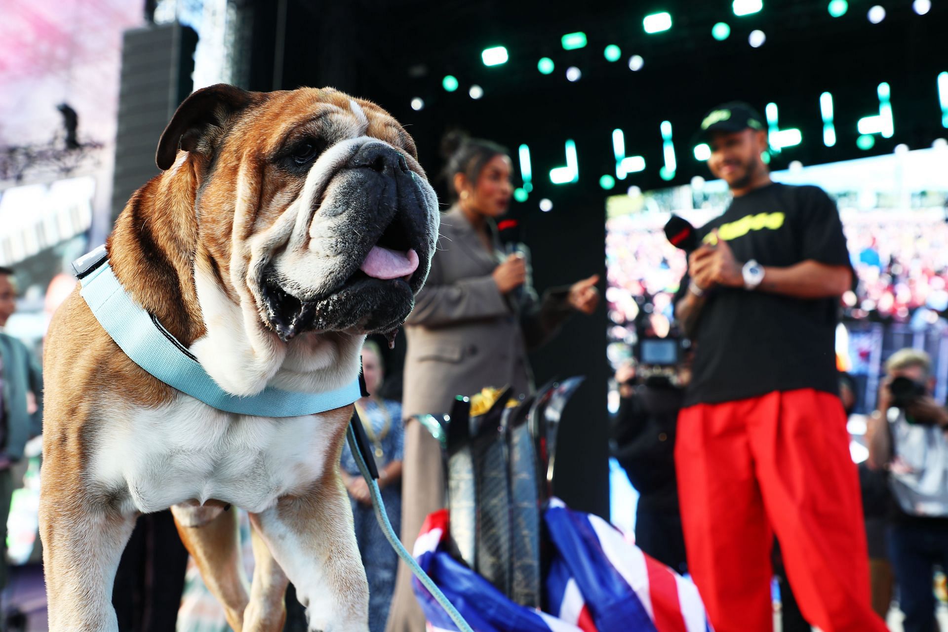 Roscoe in focus as Lewis Hamilton talks on stage after the British Grand Prix, 2024 - Source: Getty