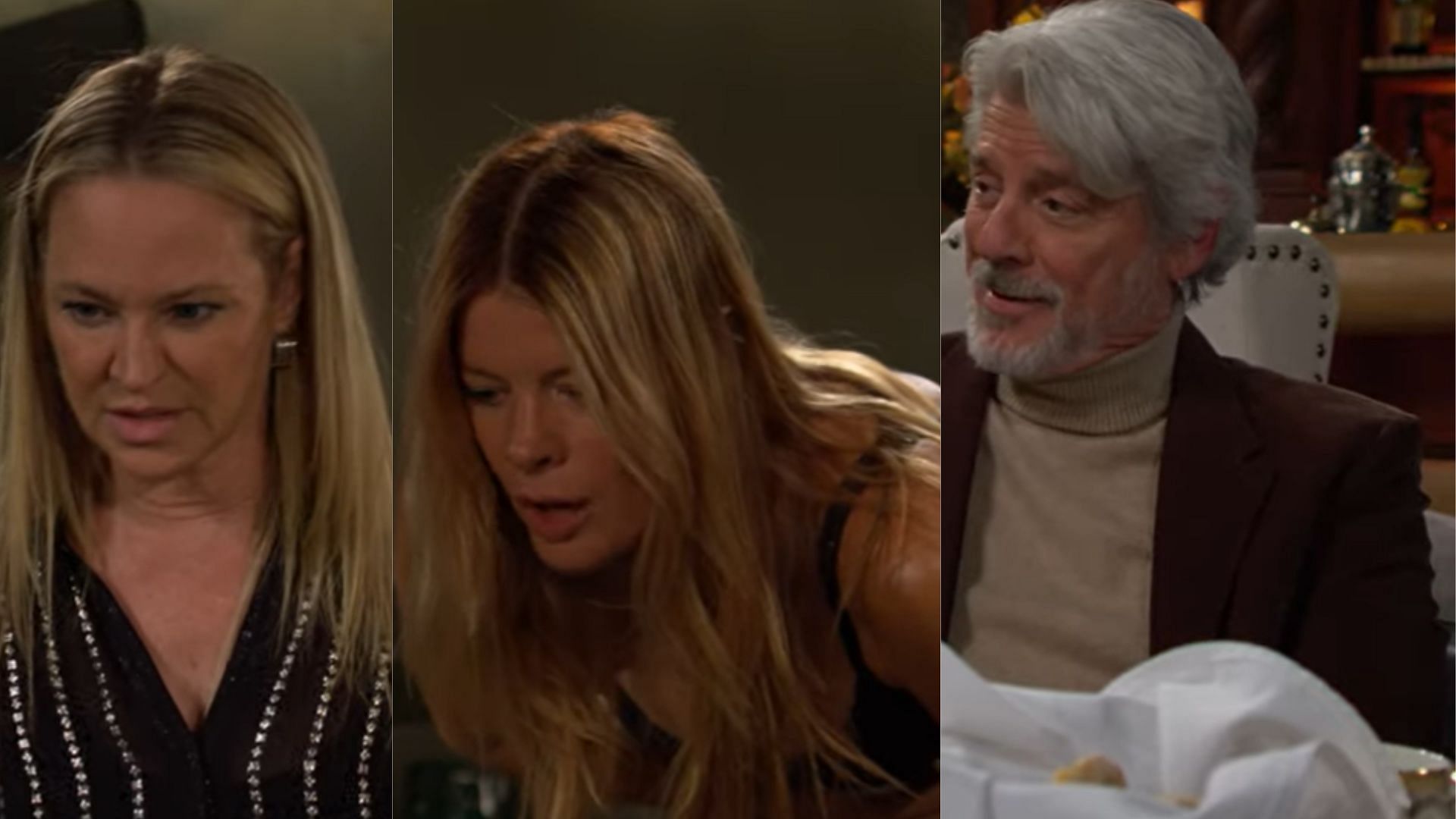 Sharon, Phyllis, Alan/Martin from The Young and The Restless (Image via YouTube - Y&amp;R INSIDER)