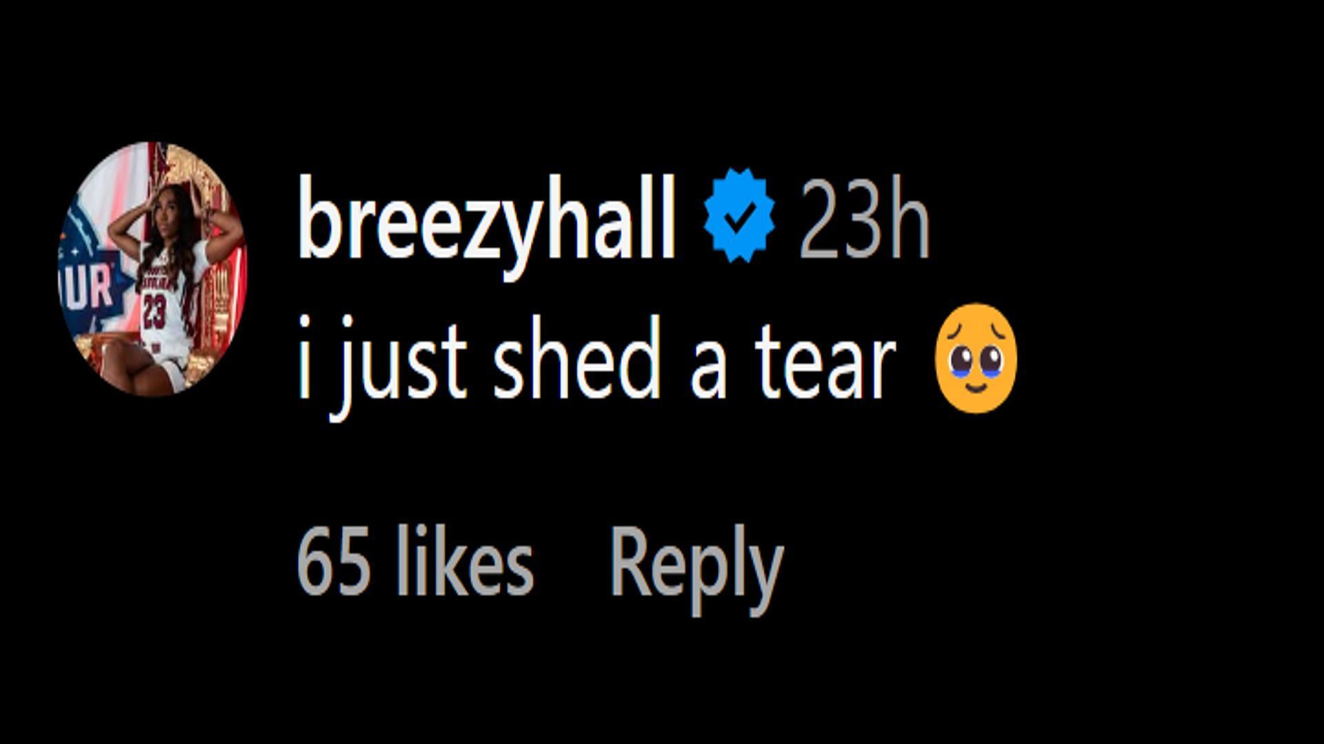 &quot;I just shed a tear&quot;: Bree Hall&#039;s comment on Te-Hina Paopao&#039;s post (Image via Instagram/@tehinapaopao)