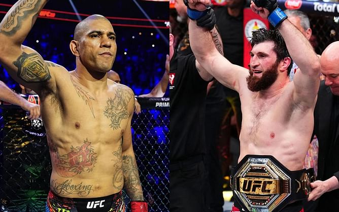 UFC Hall of Famer makes compelling case for Magomed Ankalaev vs. Alex Pereira rematch: "There have been worse robberies"