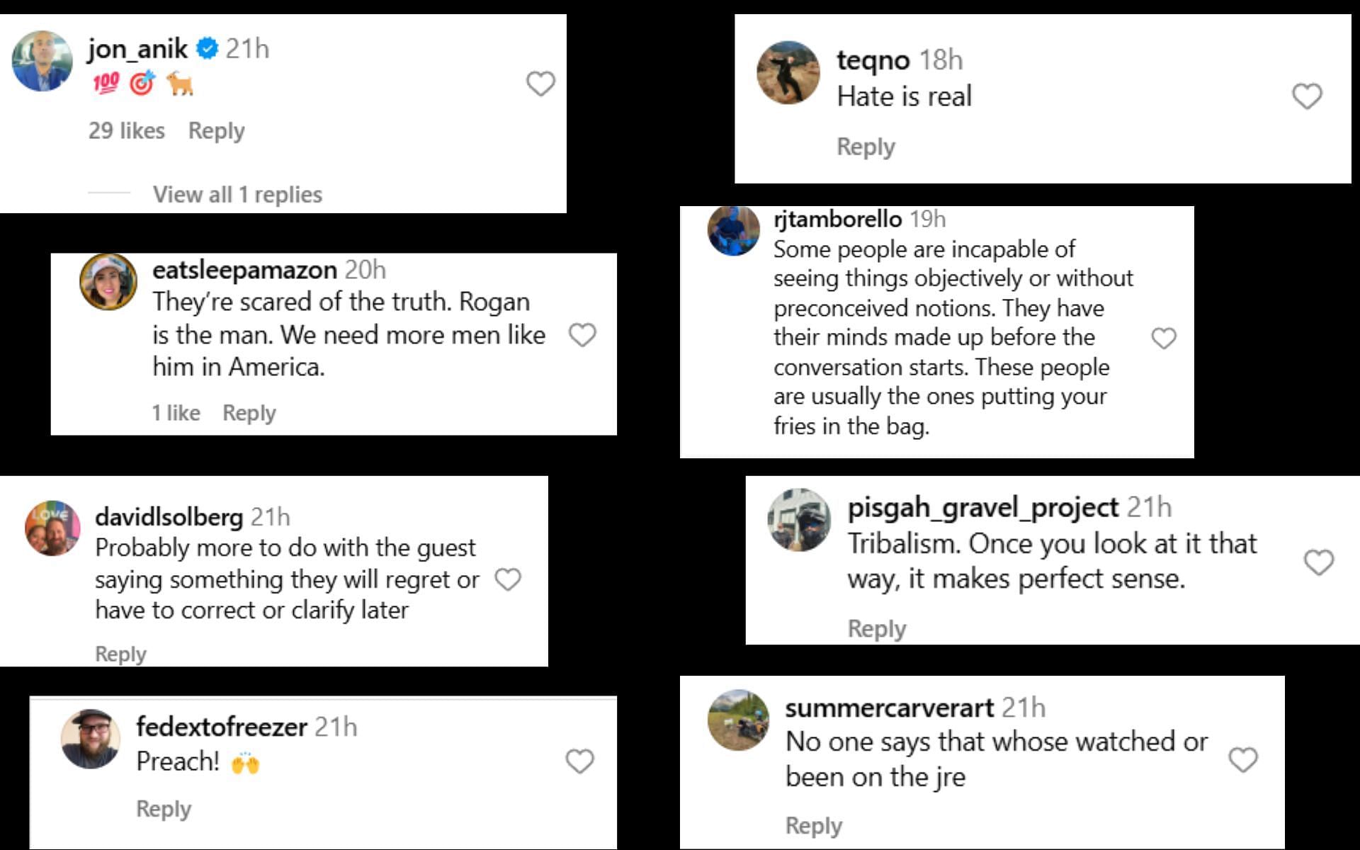 Screenshot of fan comments [Image courtesy: @thejrecompanion on Instagram]