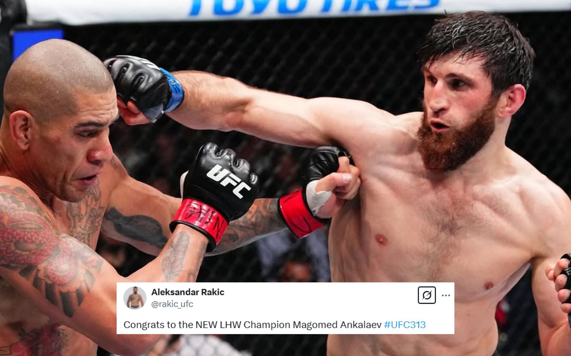 MMA world reacts to Magomed Ankalaev