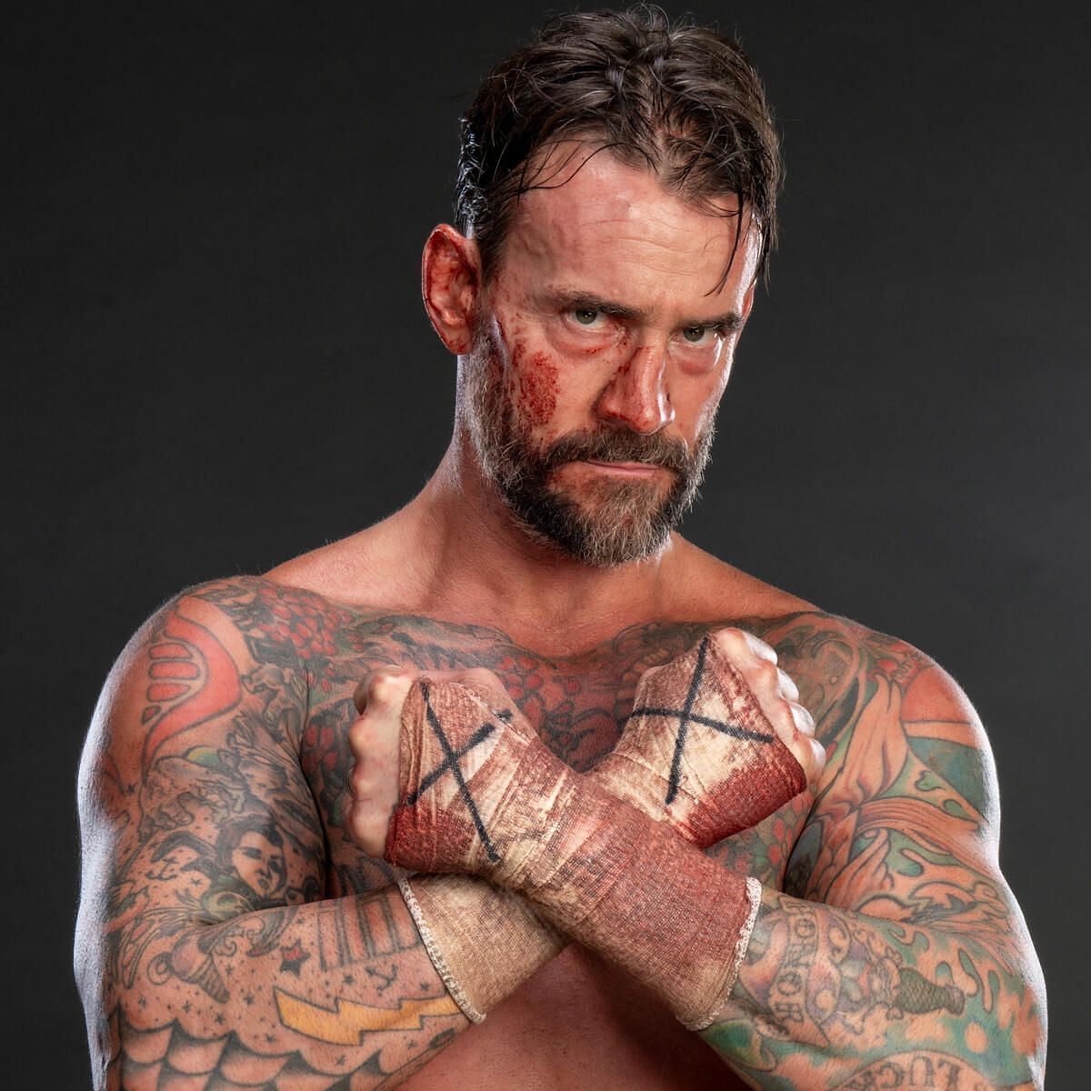 CM Punk (Image credits: wwe.com)