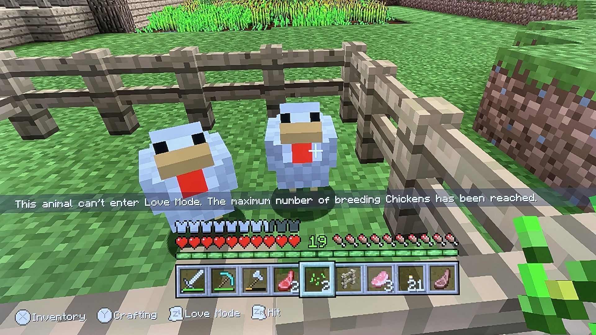 Minecraft chicken spawn limit