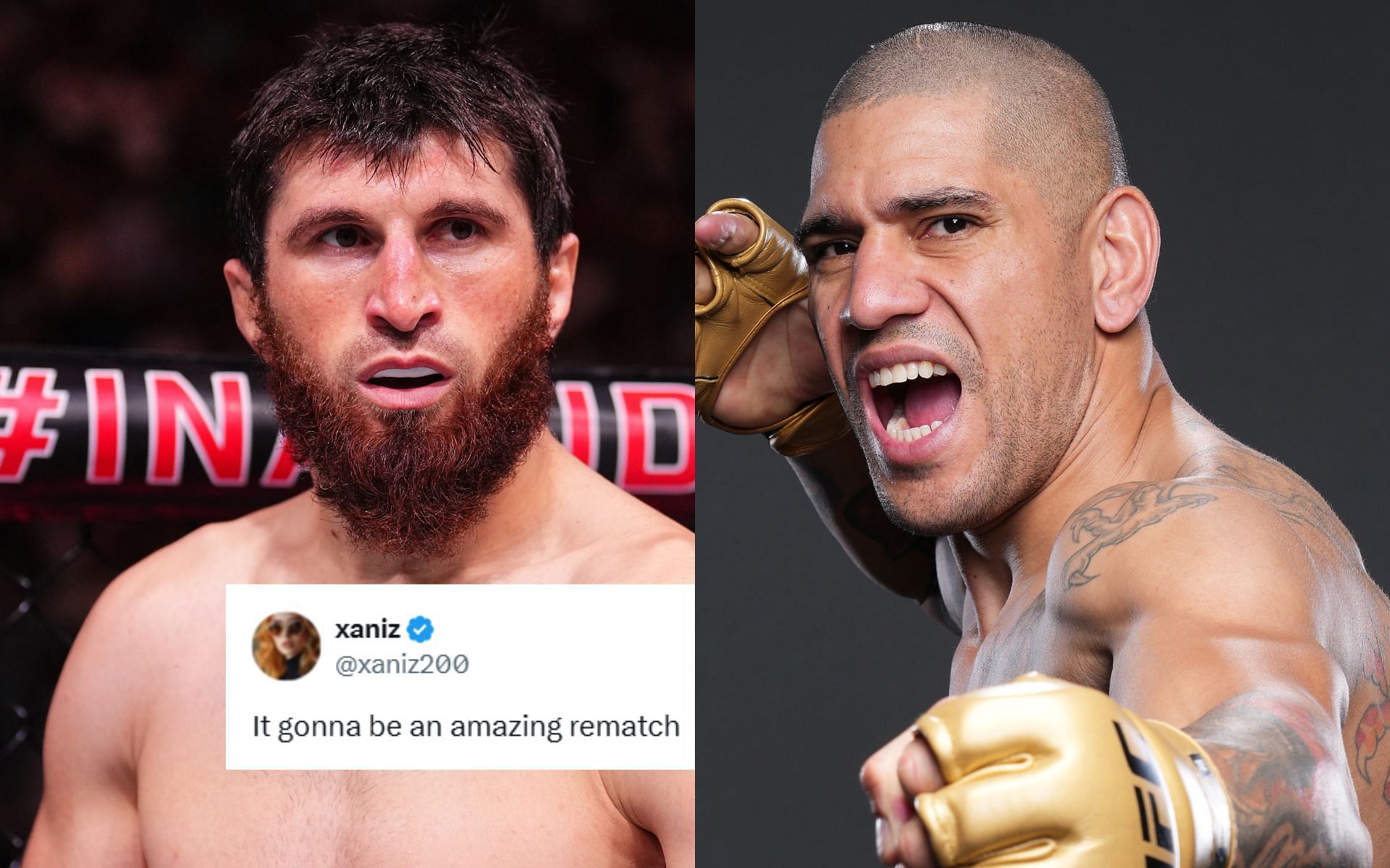 Magomed Ankalaev (left) and Alex Pereira (right) are likely to clash in a rematch next [Images courtesy: Getty Images]