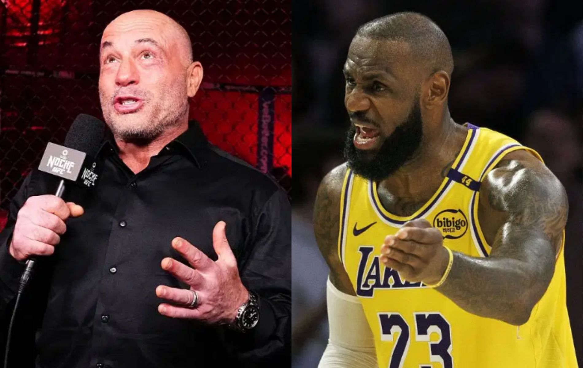 Joe Rogan predicts how LeBron James could join WNBA if he wishes. [Image Courtesy: Getty Images]