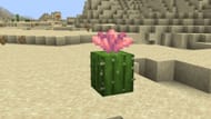 Cactus flowers will only be generated in Deserts and Badlands (Image via Sportskeeda Gaming/Mojang Studios)