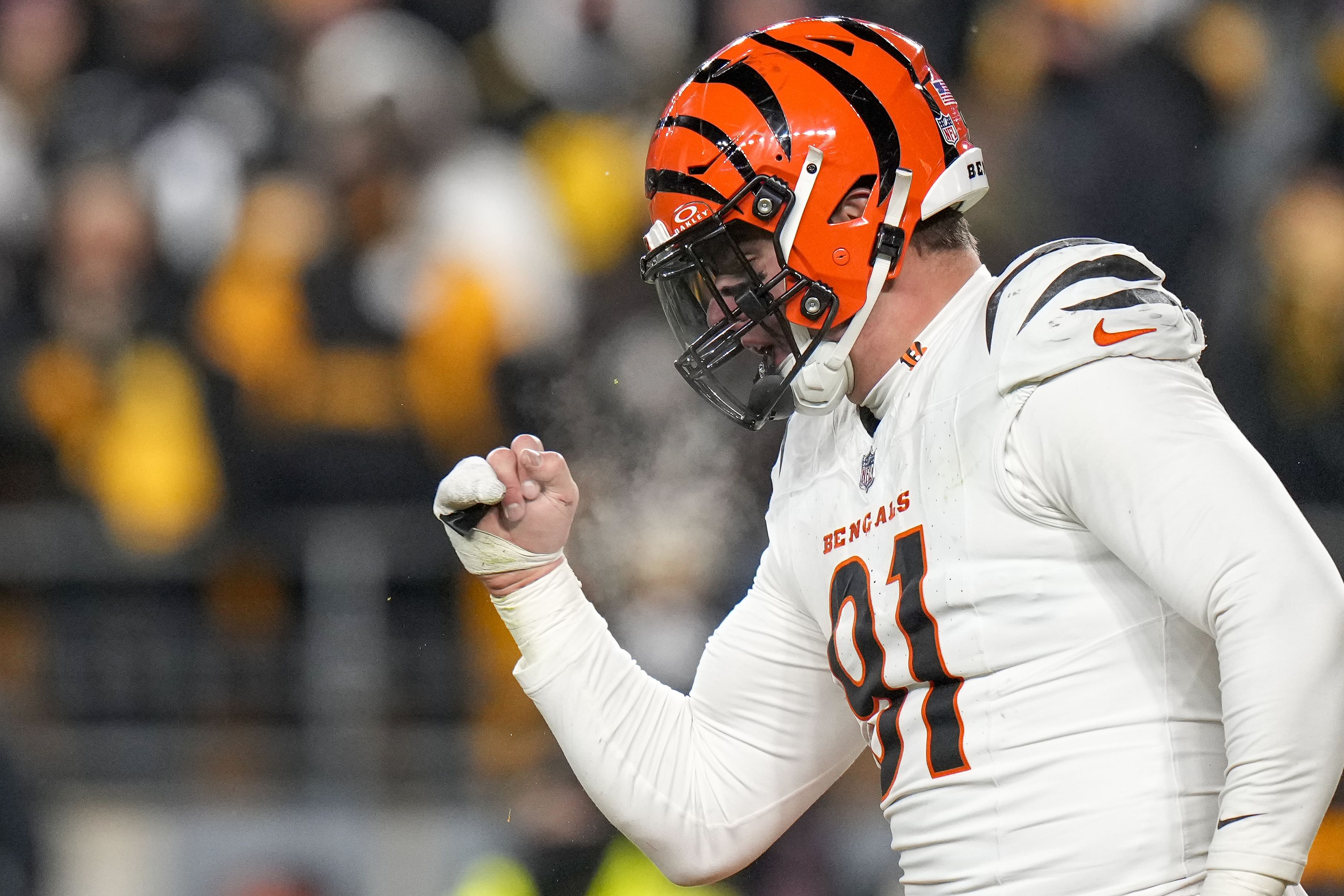 NFL: Cincinnati Bengals at Pittsburgh Steelers - Source: Imagn