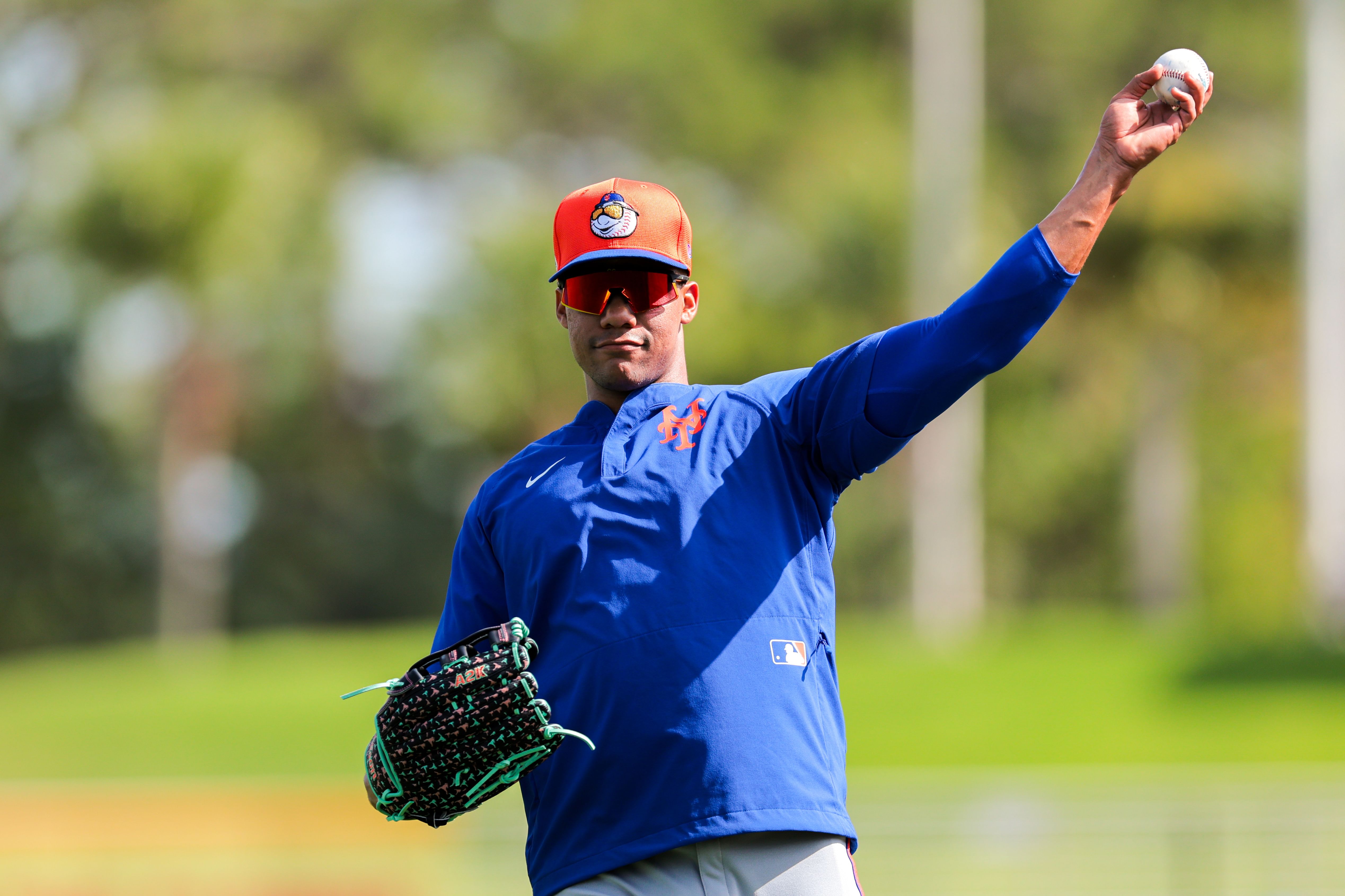 MLB: New York Mets-Workouts - Source: Imagn