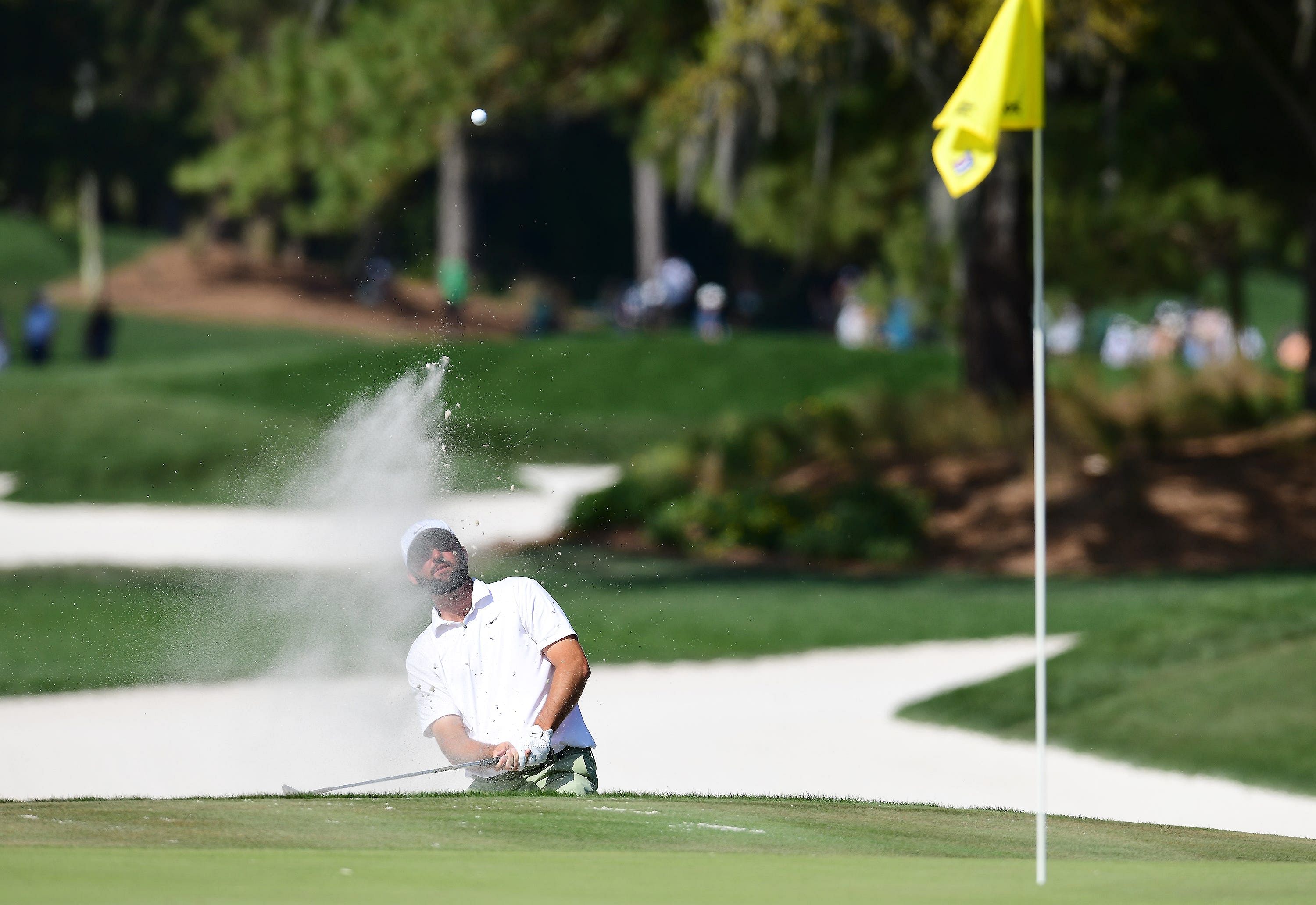 Scottie Scheffler at TPC Sawgrass (Source: Imagn)