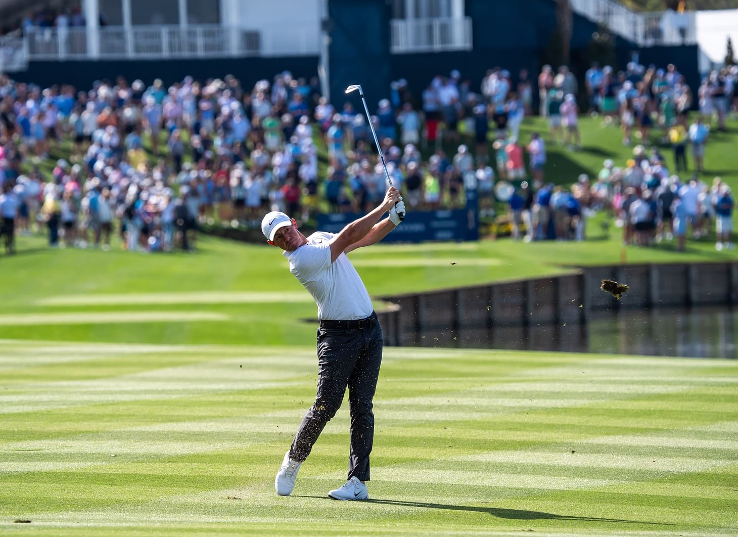 What is the projected cut line for The Players Championship 2025?