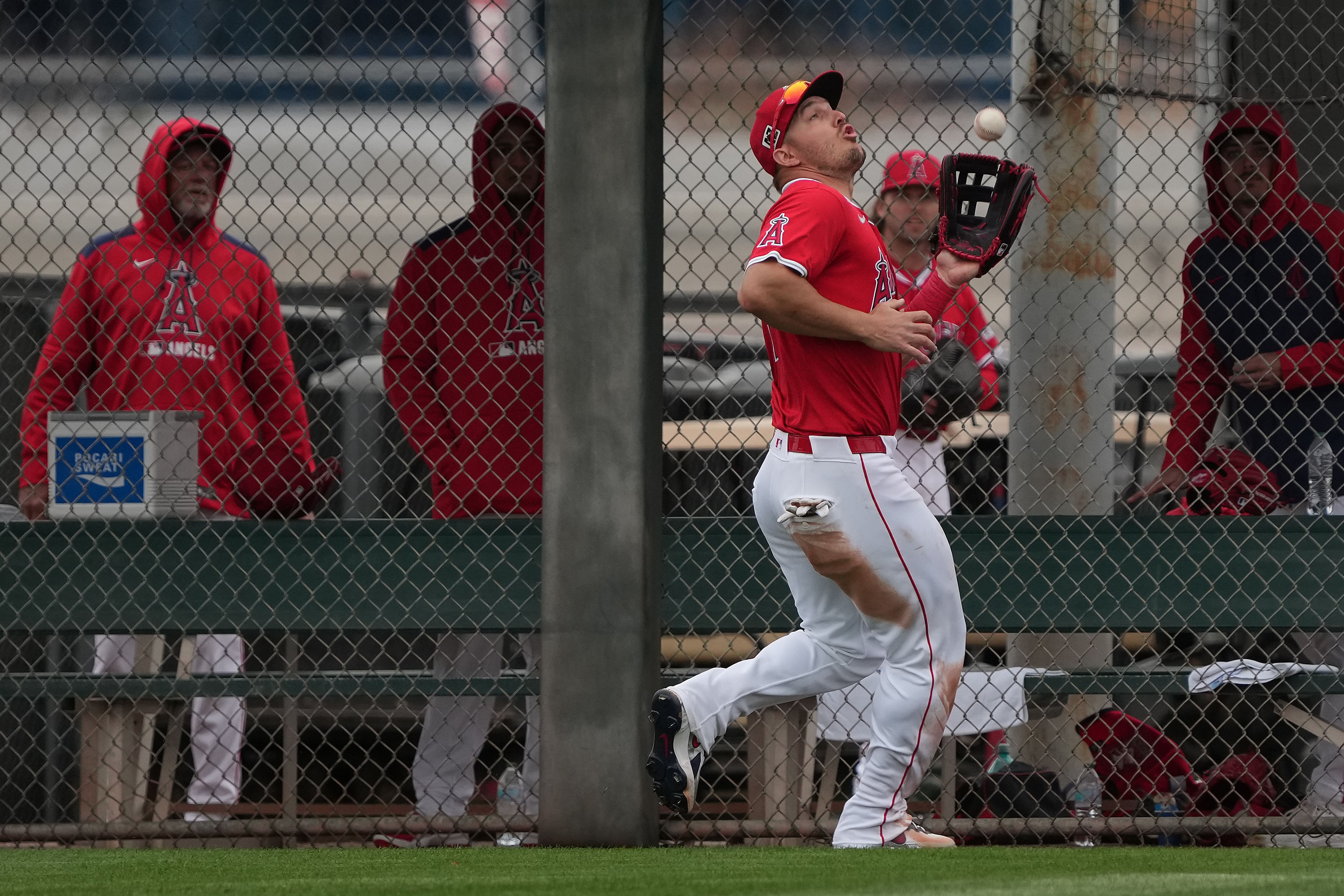 MLB: Spring Training-Kansas City Royals at Los Angeles Angels - Source: Imagn