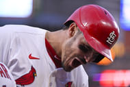 MLB: Minnesota Twins at St. Louis Cardinals - Source: Imagn