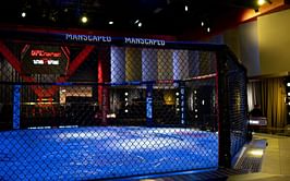 "Our margin could be higher" - TKO president compares UFC Apex events to stadium shows, claims fans can't tell difference when streaming on TV screen