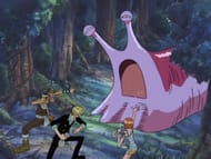 Who is Sanji in One Piece.