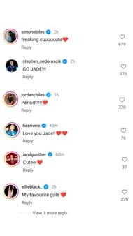 قسم تعليقات Instagram عبر كاري