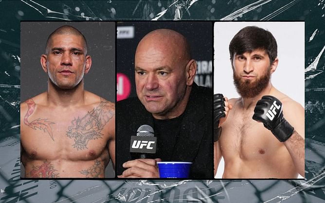 Alex Pereira's three-word reaction to Magomed Ankalaev's fight tease hints that Dana White may have kept his word