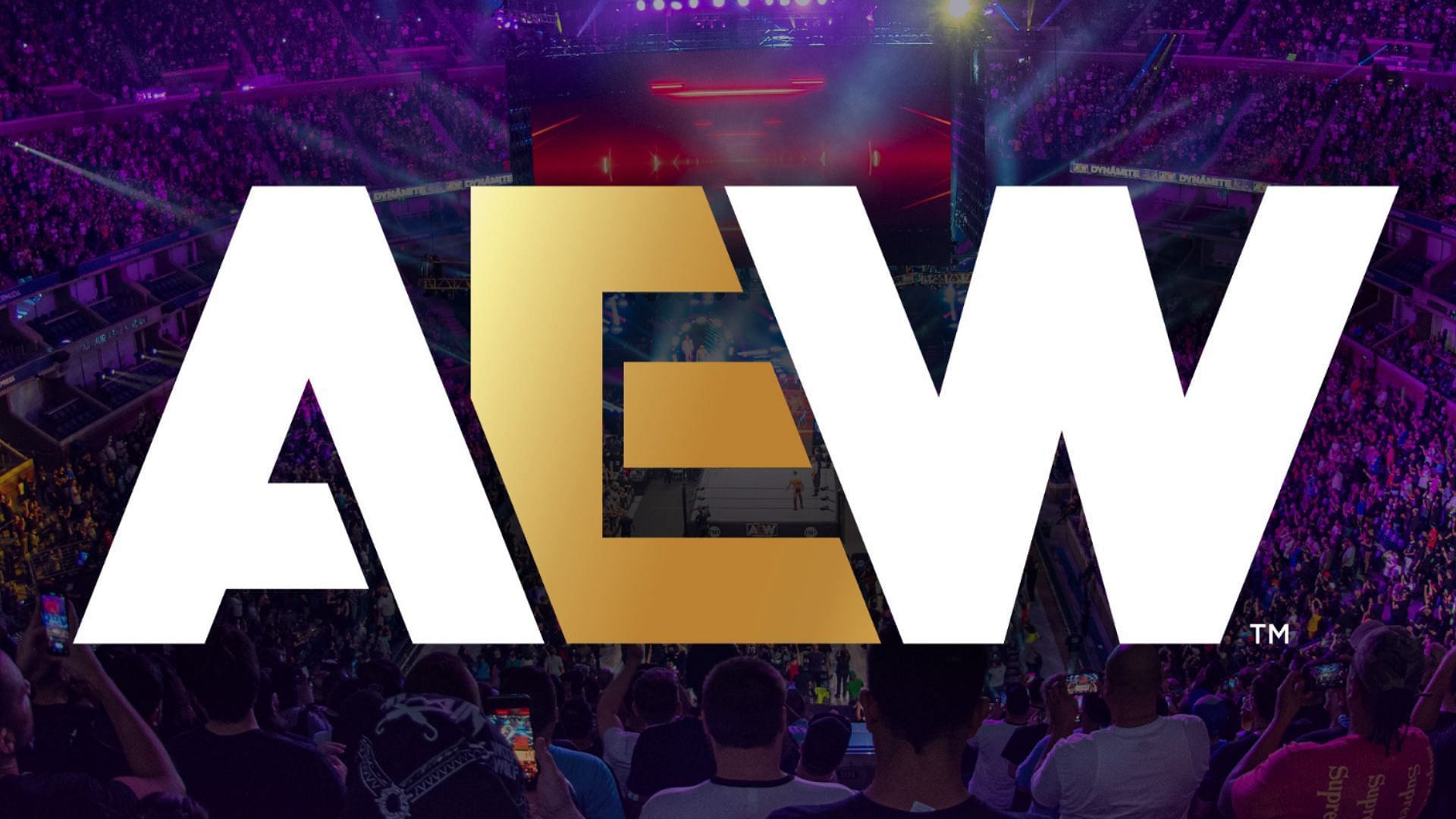 AEW is one of the leading American pro-wrestling brands currently [Image Credits: AEW