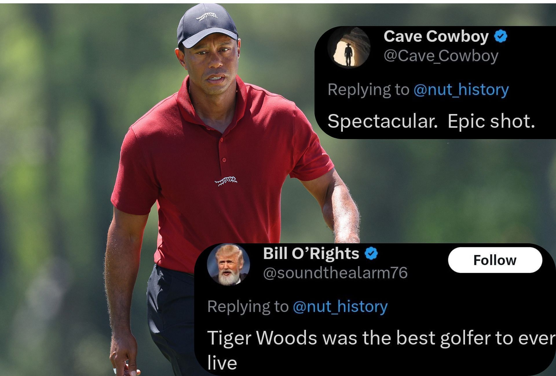 Tiger Woods and fan comments ( via Getty and X.com)