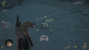 Where to find Rime Beetle in Monster Hunter Wilds