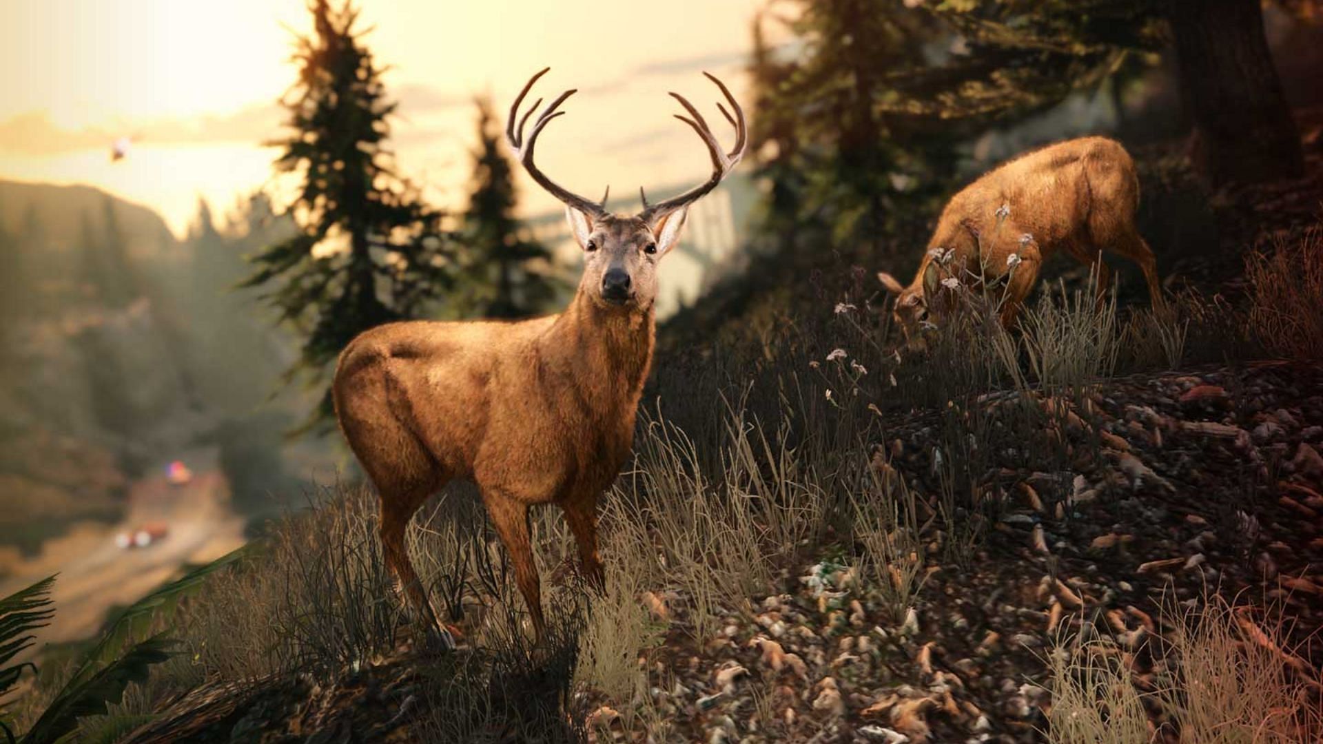 Animals in GTA 5 Online Enhanced&#039;s open-world (Image via Rockstar Games)