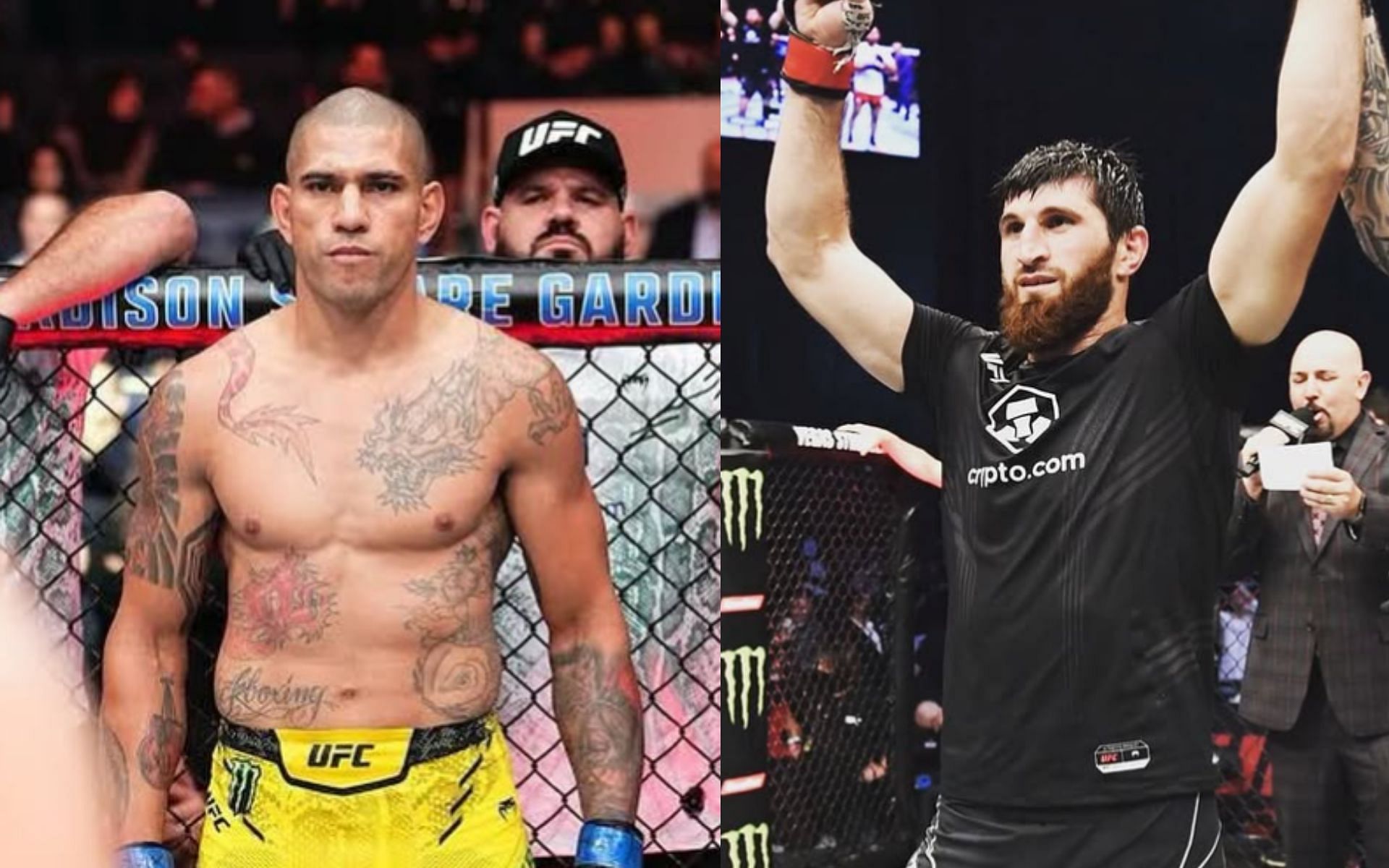 Alex Pereira (left) will face legitimate wrestling threat against Magomed Ankalev (right) at UFC 313. [Images courtesy: @alexpoatanpereira and @ankalaev_magomed on Instagram]