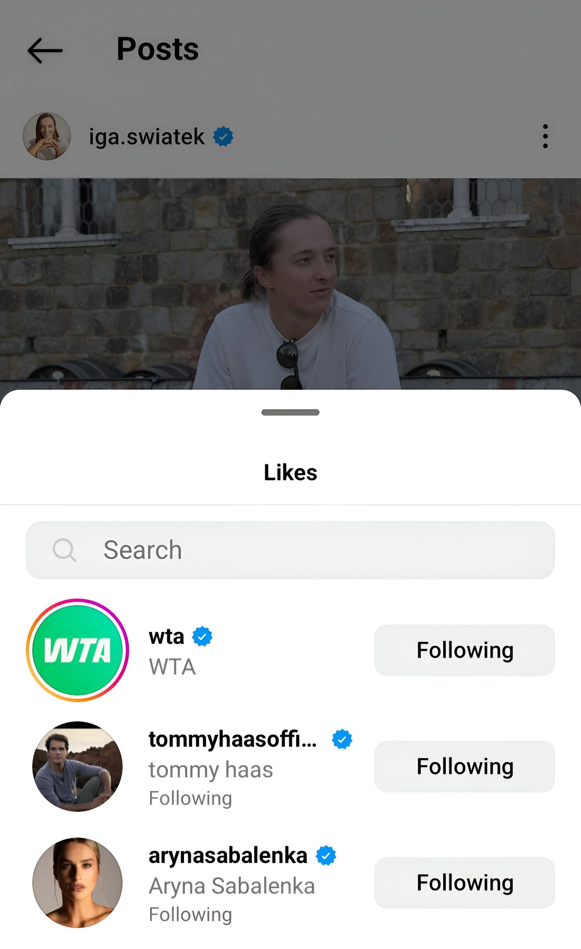 Aryna Sabalenka and Tommy Haas liked Iga Swiatek&#039;s emotional Instagram post - Source: Instagram/@iga.swiatek