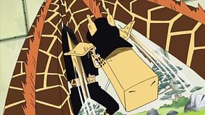What Devil Fruit did Kaku eat in One Piece? Explained