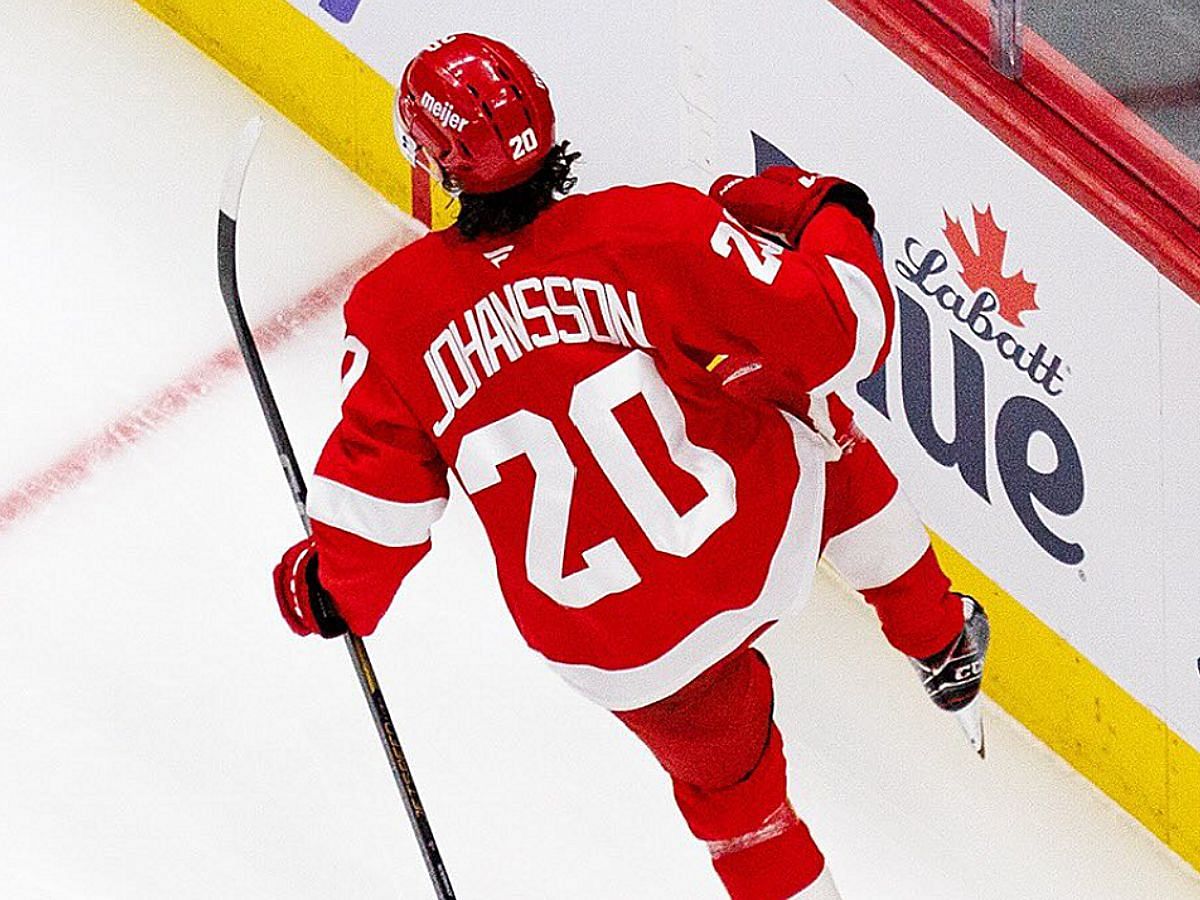 Albert Johansson celebrates goal: Instagram @detroitredwings