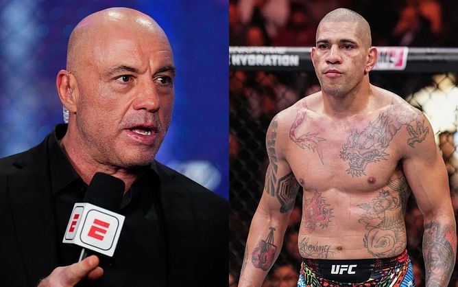 Alex Pereira responds to Joe Rogan revealing he had 'hand injury' and 'norovirus' going into UFC 313