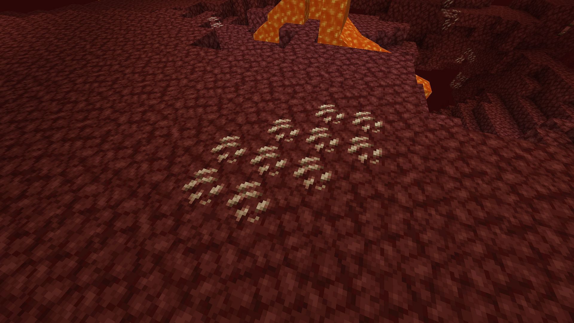 Nether quartz blocks can be mined for gaining XP (Image via Sportskeeda Gaming/Mojang Studios)