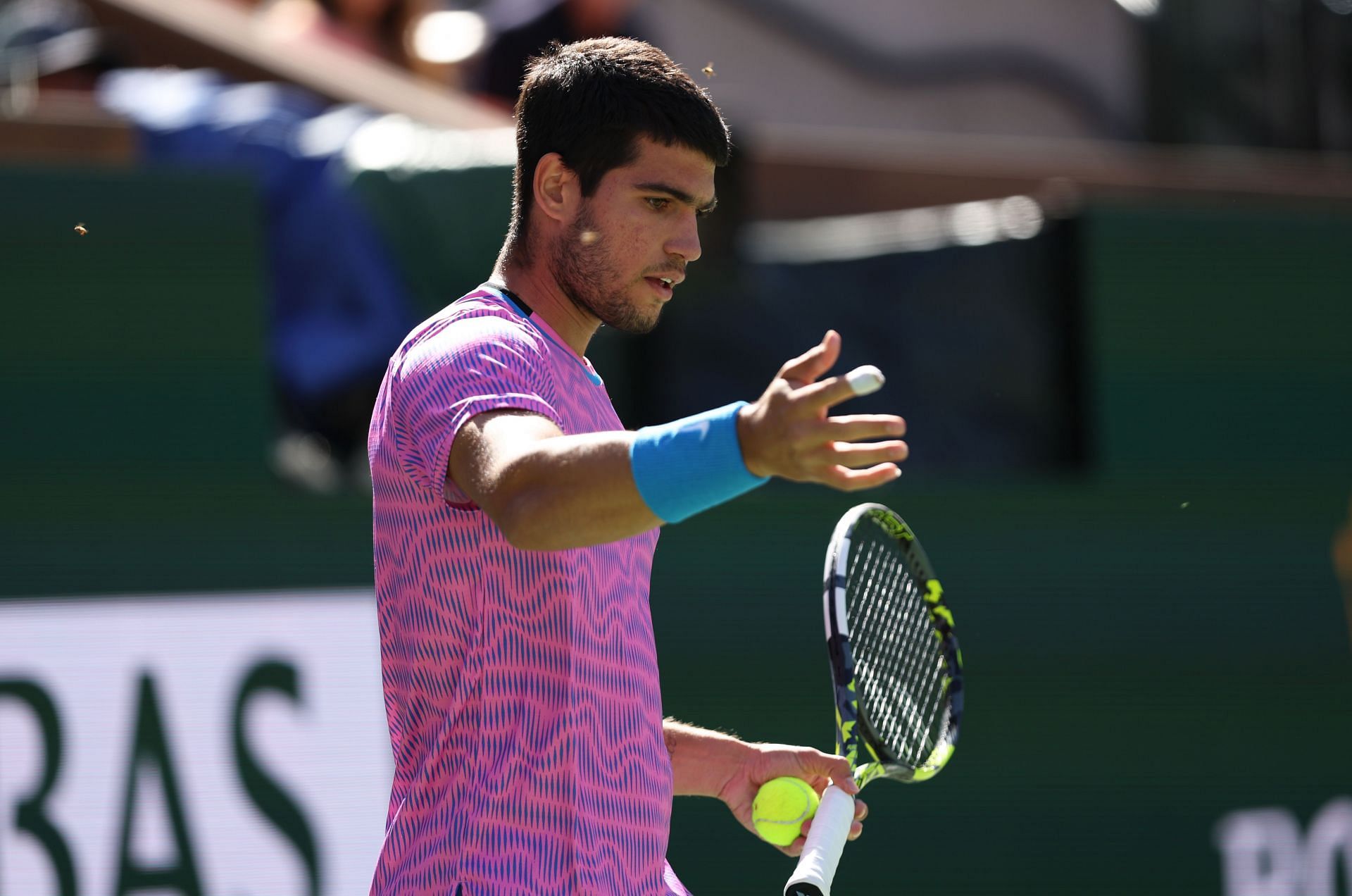 In Picture: Carlos Alcaraz swatting away bees at the 2024 BNP Paribas Open in Indian Wells (Source: Getty)