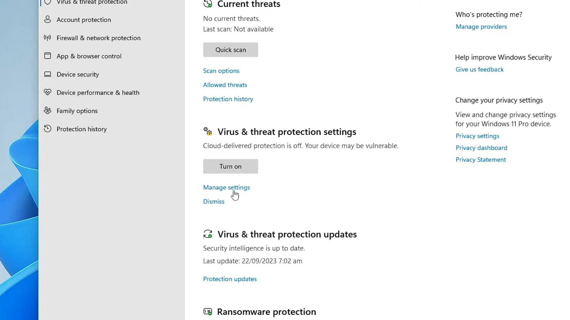 Threat protection settings in Windows (Image via Team 17)