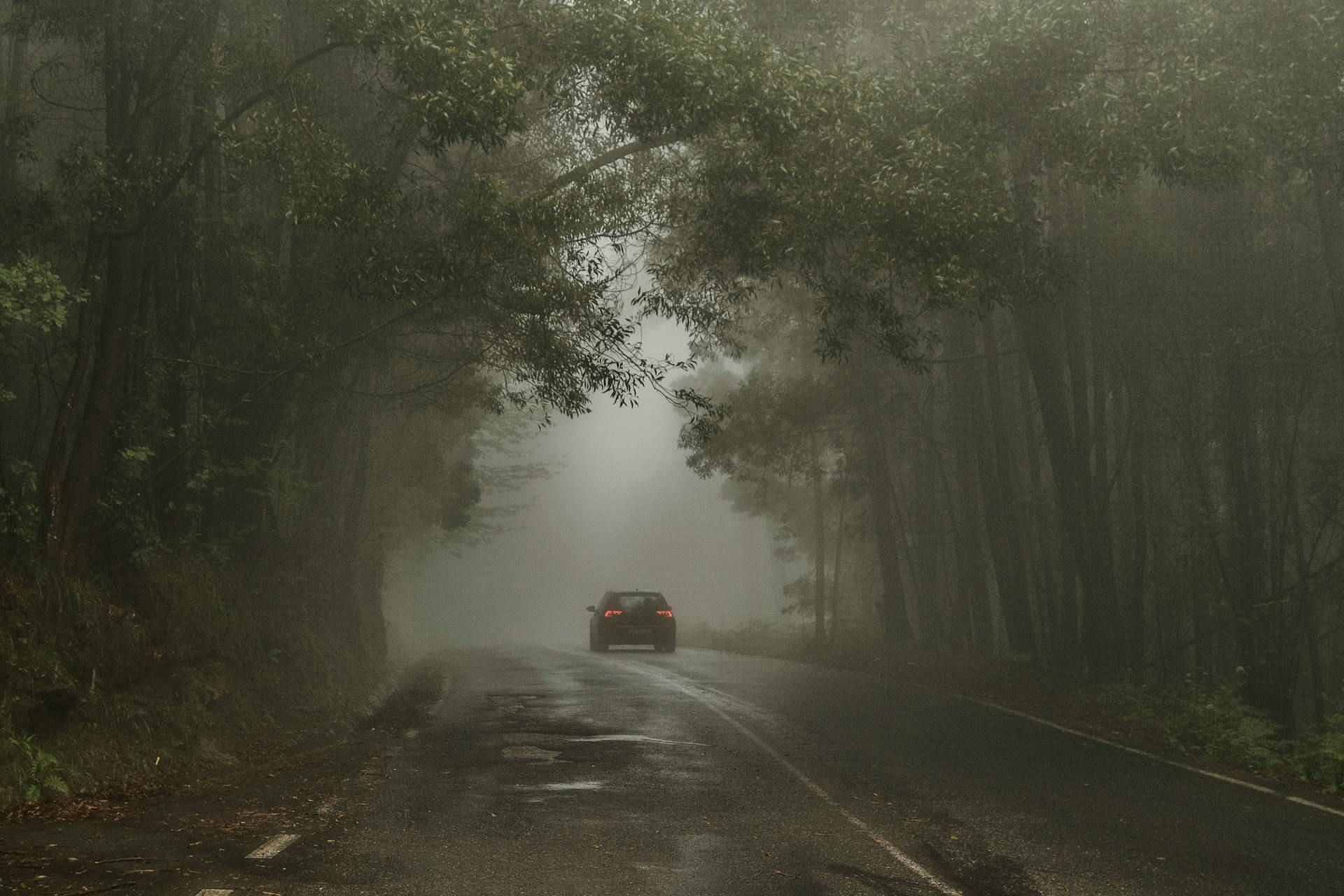 Cheryl and Andy went to the Lovers Lane before they were murdered (Image via Pexels)