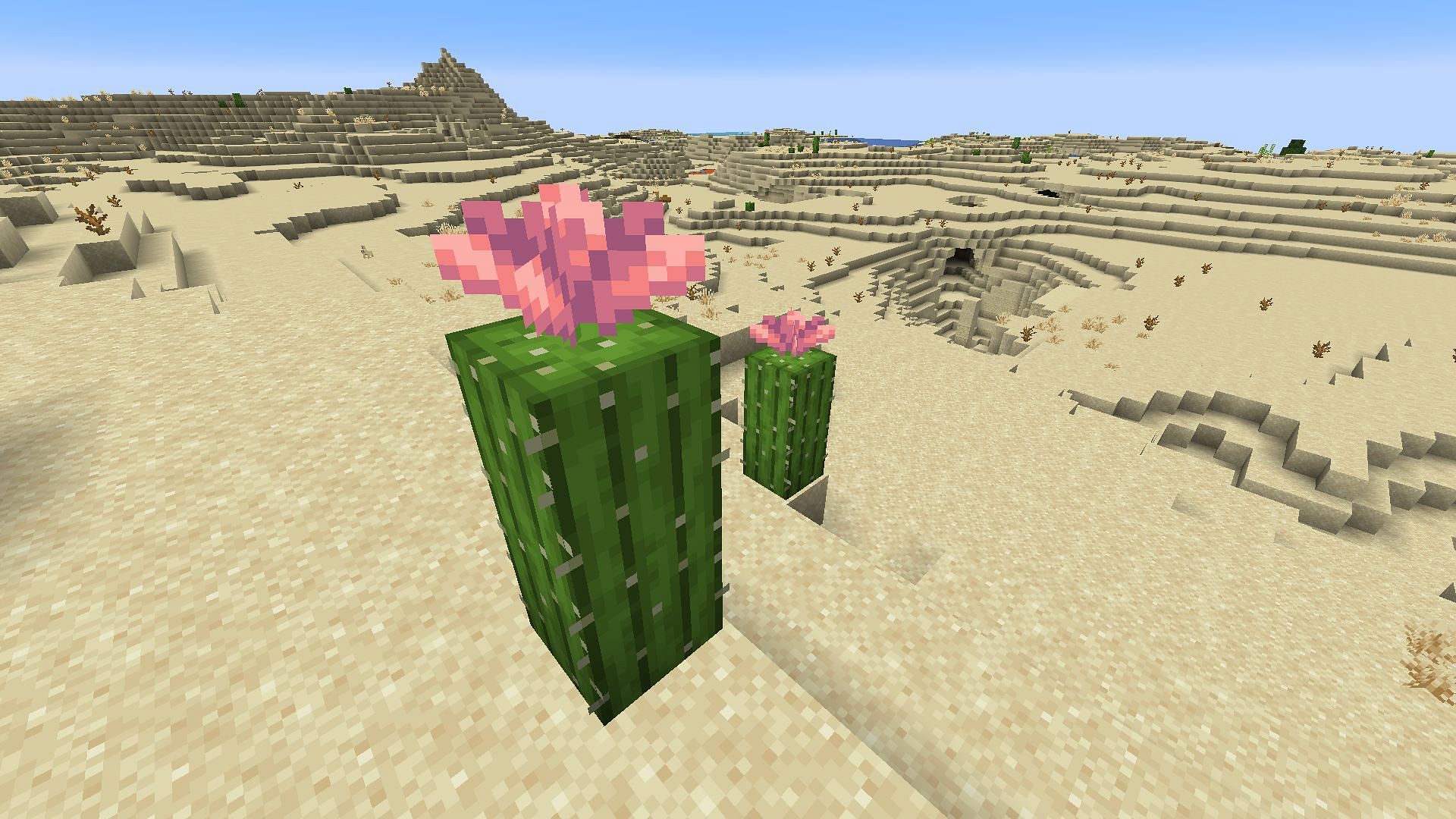 Cactus flower (Image via Mojang &amp; Sportskeeda Gaming)