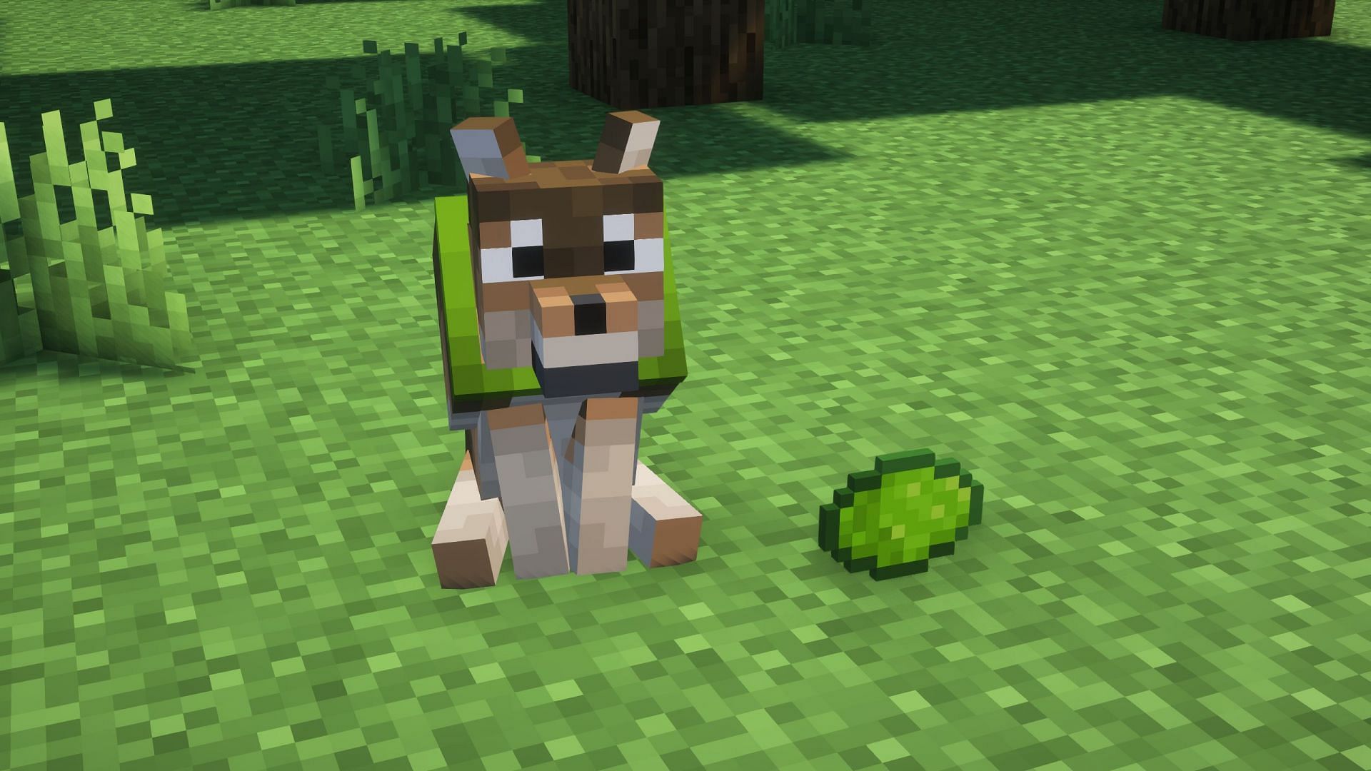 Wolf and cat collars can be dyed (Image via Sportskeeda Gaming/Mojang Studios)