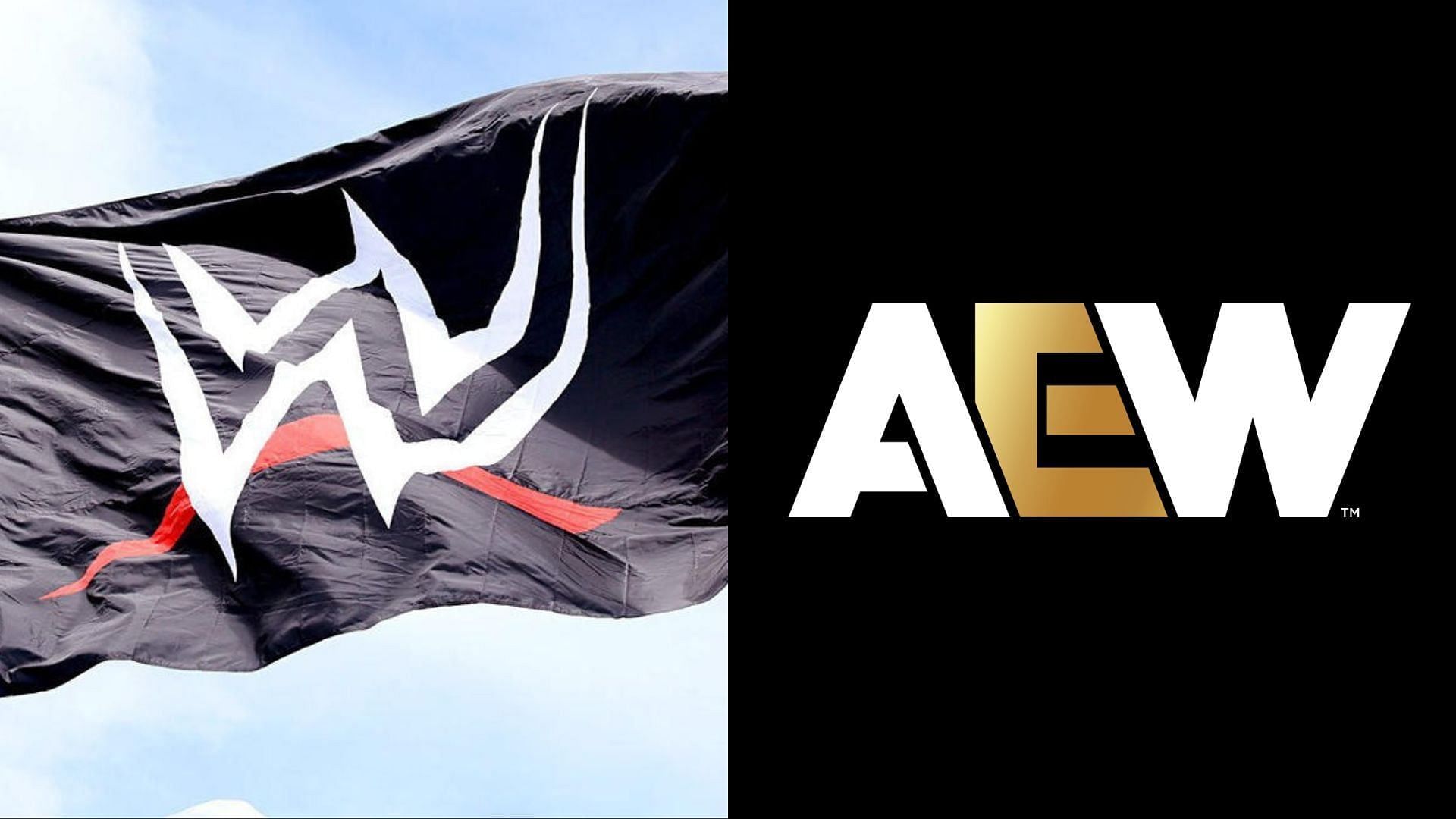 WWE and AEW are top players in the wrestling industry [photo: wwe.com and allelitewrestling.com]