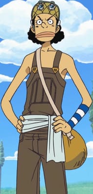 Who is Usopp in One Piece.