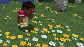 4 things you should know about wildflowers in Minecraft