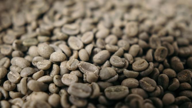 "Once they get the coffee, they disappear" — Todd Costley reports trucks of coffee beans are being targeted for theft amid record-high prices