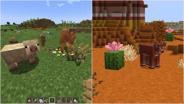 Minecraft Spring Feature Minecraft Spring to Life guide to all new features